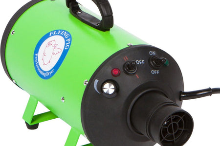Flying Pig High Velocity Dog Pet Grooming Dryer W/Heater (Model: Flying One, Green)