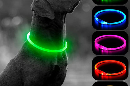 LED Dog Collar - USB Rechargeable Light up Dog Collars Glow in the Dark - Waterproof LED Dog Necklace Light for Night Walking (Green)