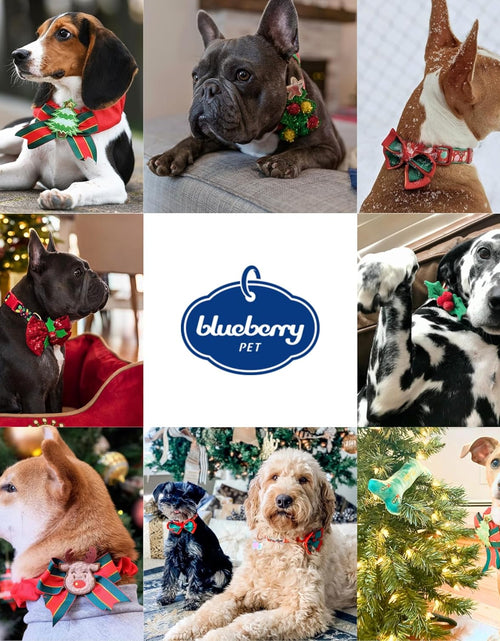 Load image into Gallery viewer, 10+ Designs Holiday Christmas Festival Dog Collars, Collar Covers
