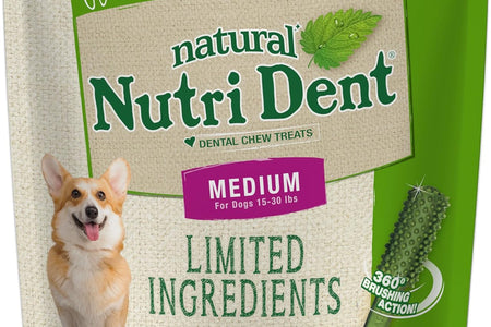 Nutri Dent Dog Dental Treats - Natural Dog Teeth Cleaning & Breath Freshener - Dental Treats for Dogs - Fresh Breath Flavor, Medium (40 Count)