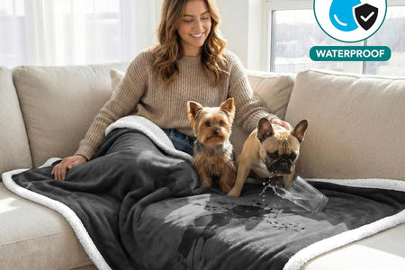 Waterproof Dog Blanket for Small Medium Dog, Pet Puppy Blanket Couch Cover Protection, Sherpa Fleece Cat Blanket Washable Throw Couch Sofa Bed Furniture Protector Reversible Soft 29X40 Charcoal