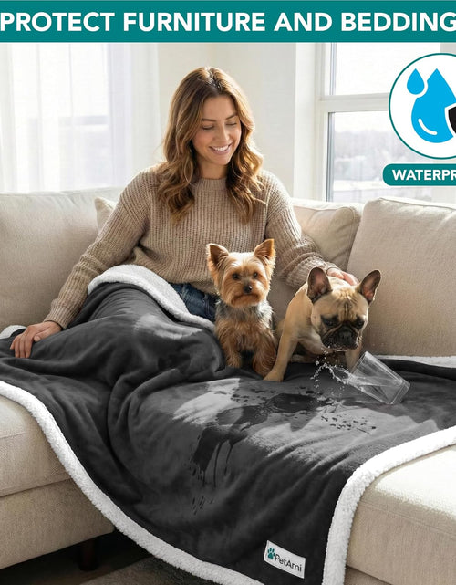 Load image into Gallery viewer, Waterproof Dog Blanket for Small Medium Dog, Pet Puppy Blanket Couch Cover Protection, Sherpa Fleece Cat Blanket Washable Throw Couch Sofa Bed Furniture Protector Reversible Soft 29X40 Charcoal
