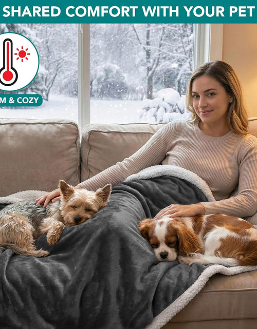 Load image into Gallery viewer, Waterproof Dog Blanket for Small Medium Dog, Pet Puppy Blanket Couch Cover Protection, Sherpa Fleece Cat Blanket Washable Throw Couch Sofa Bed Furniture Protector Reversible Soft 29X40 Charcoal
