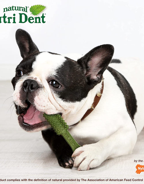 Load image into Gallery viewer, Nutri Dent Dog Dental Treats - Natural Dog Teeth Cleaning &amp; Breath Freshener - Dental Treats for Dogs - Fresh Breath Flavor, Medium (40 Count)
