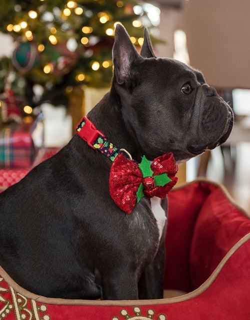 Load image into Gallery viewer, 10+ Designs Holiday Christmas Festival Dog Collars, Collar Covers
