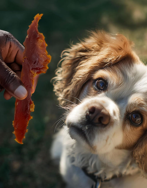 Load image into Gallery viewer, Duck Breast Jerky Dog Treats - 16 Ounce
