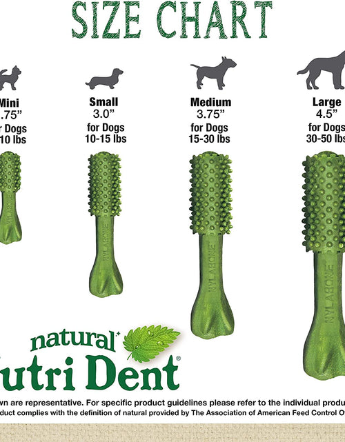 Load image into Gallery viewer, Nutri Dent Dog Dental Treats - Natural Dog Teeth Cleaning &amp; Breath Freshener - Dental Treats for Dogs - Fresh Breath Flavor, Medium (40 Count)
