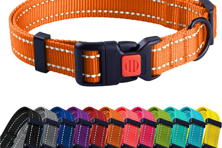 Reflective Dog Collar for a Small, Medium, Large Dog or Puppy with a Quick Release Buckle - Boy and Girl - Nylon Suitable for Swimming (10-13 Inch, Orange)