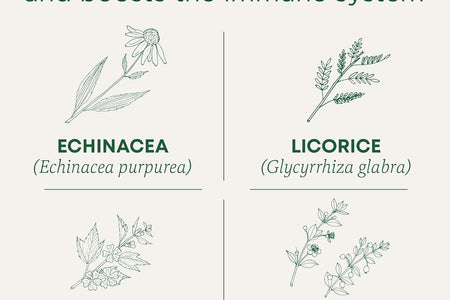 Throat Coat Organic Pectin Throat Drops, Lemon Ginger Echinacea, Soothes Sore Throats, 16Ct.
