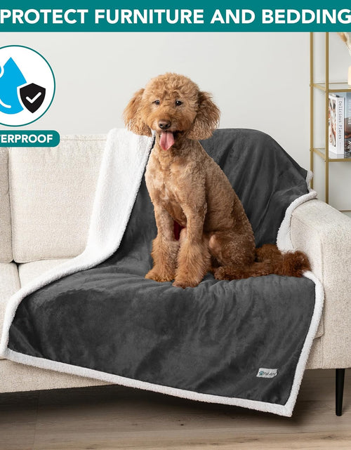 Load image into Gallery viewer, Waterproof Dog Blanket for Small Medium Dog, Pet Puppy Blanket Couch Cover Protection, Sherpa Fleece Cat Blanket Washable Throw Couch Sofa Bed Furniture Protector Reversible Soft 29X40 Charcoal
